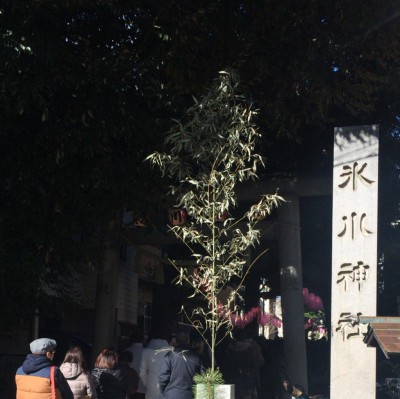 2016年1月1日、東中野の氏神様氷川神社の参道