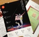 2013年版ダンス・クリエーション・アワードのパンフレット